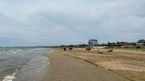 В Избербаше обустроят пляж в поселке Рыбный В Избербаше обустроят пляж в поселке Рыбный