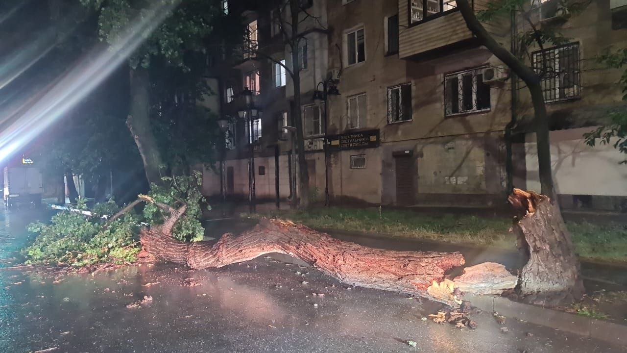 Городские службы устраняют последствия непогоды Городские службы устраняют последствия непогоды